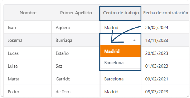 vista_personalizada_editar_1_admin_web